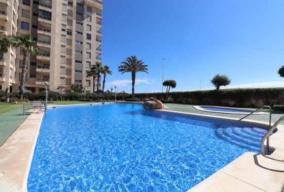 Resale - Apartment - Guardamar del Segura - Guardamar del Segura - Town