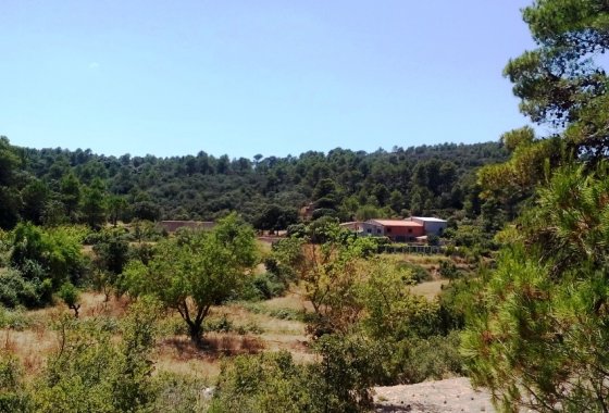 بازفروش - خانه روستایی - Penáguila