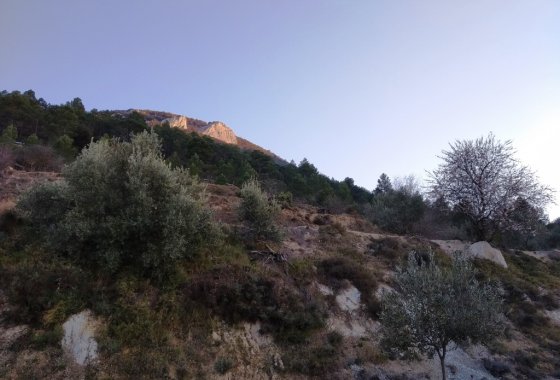 Wiederverkauf - Land - Benifallim