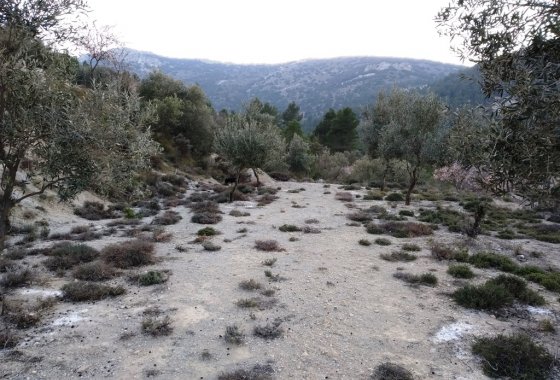 Wiederverkauf - Land - Benifallim