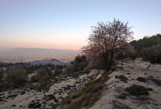 Wiederverkauf - Land - Benifallim