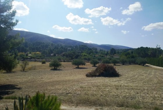 بازفروش - خانه روستایی - Ontinyent