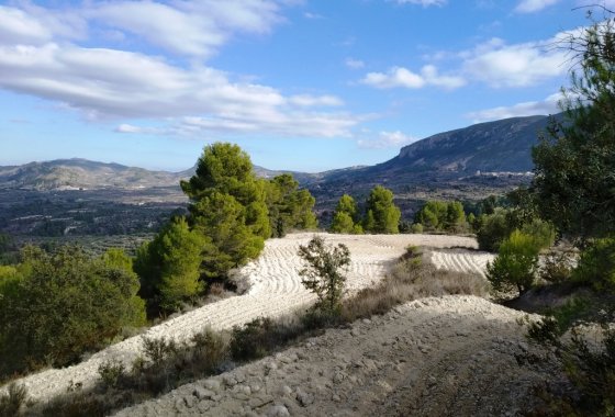 Wiederverkauf - Land - Benillup