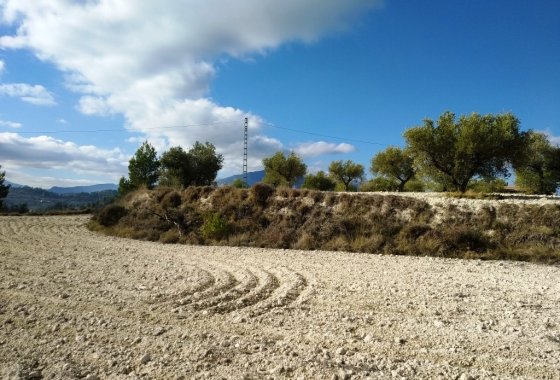 Wiederverkauf - Land - Benillup