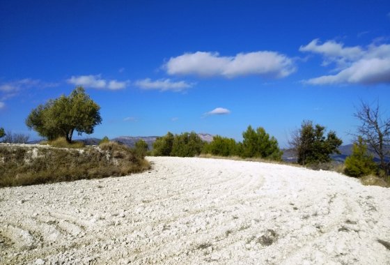 Wiederverkauf - Land - Benillup