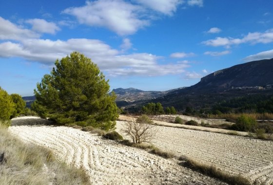 Wiederverkauf - Land - Benillup