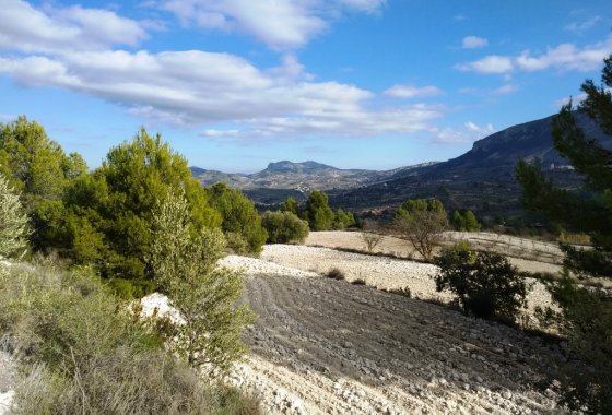 Wiederverkauf - Land - Benillup