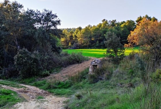 Resale - Country House - Bocairent