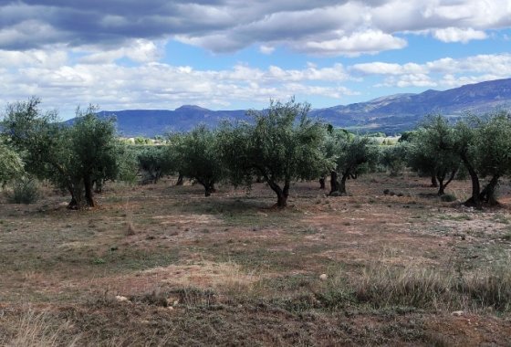 بازفروش - خانه روستایی - Muro de Alcoy