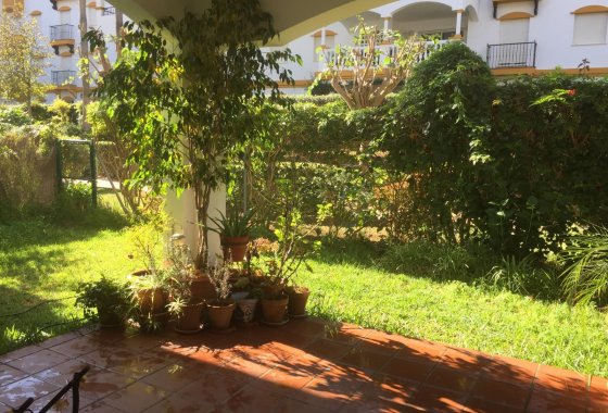 Resale - Apartment - Marbella - Nueva Andalucía