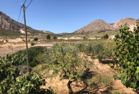 بازفروش - خانه روستایی - Hondón de los Fráiles - Hamlet of El Canton