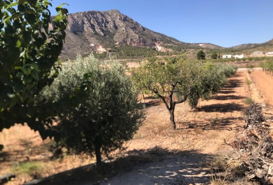 بازفروش - خانه روستایی - Hondón de los Fráiles - Hamlet of El Canton