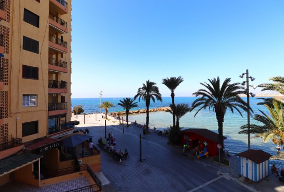 Reventa - Apartment - Torrevieja - Playa del Cura