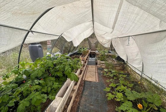 Wiederverkauf - Villa - Sax