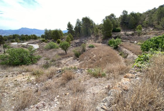 Reventa - Country House - Elda