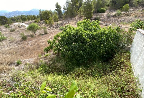 Reventa - Country House - Elda