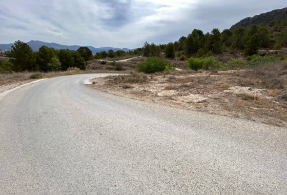 Reventa - Country House - Elda