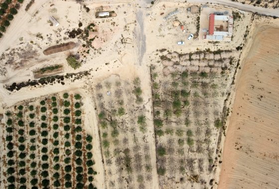 Resale - Land - Torremendo - Torremendo - Country