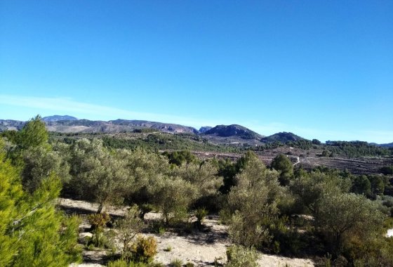 Resale - Land - Benimarfull