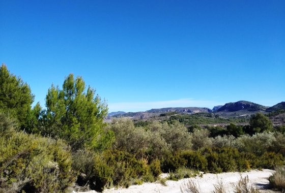 Resale - Land - Benimarfull