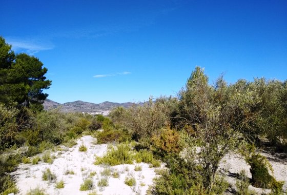 Resale - Land - Benimarfull