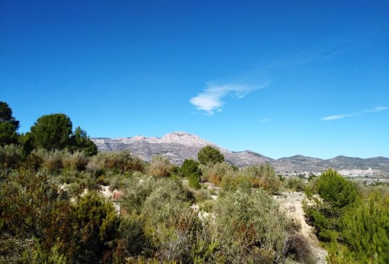 Resale - Land - Benimarfull