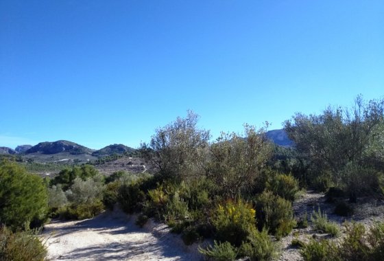 Resale - Land - Benimarfull