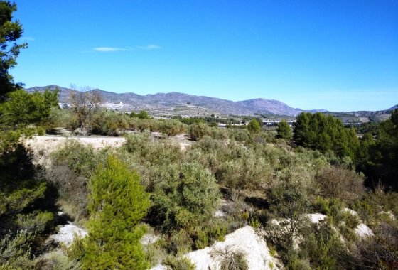 Resale - Land - Benimarfull