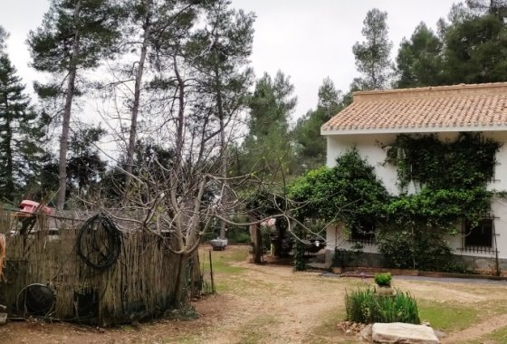 بازفروش - خانه روستایی - Bocairent