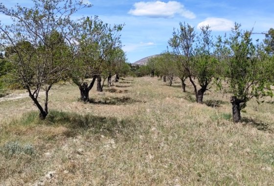 Reventa - Land - Penáguila