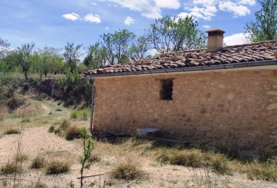 Reventa - Land - Penáguila