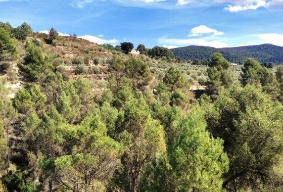 Reventa - Land - Penáguila