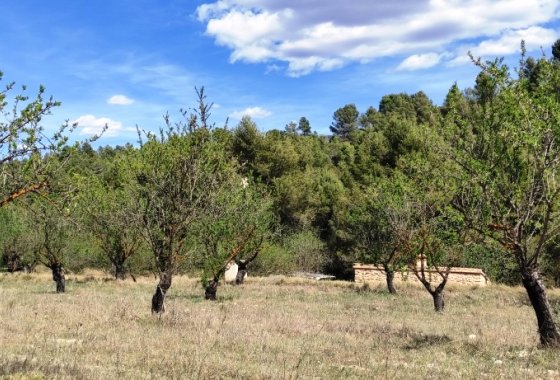 Reventa - Land - Penáguila