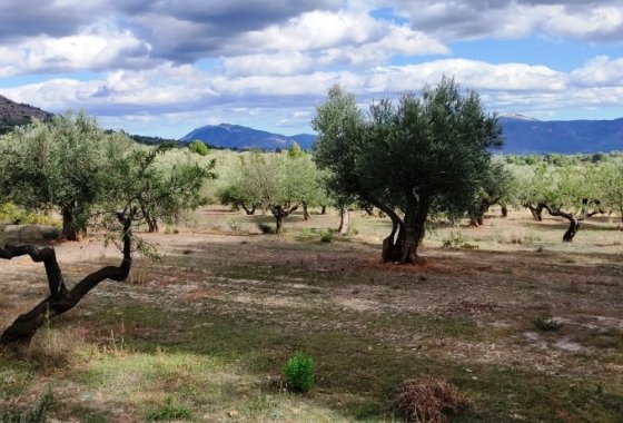 Resale - Country House - Muro de Alcoy