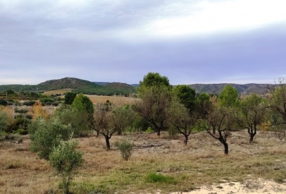 Reventa - Country House - Ontinyent