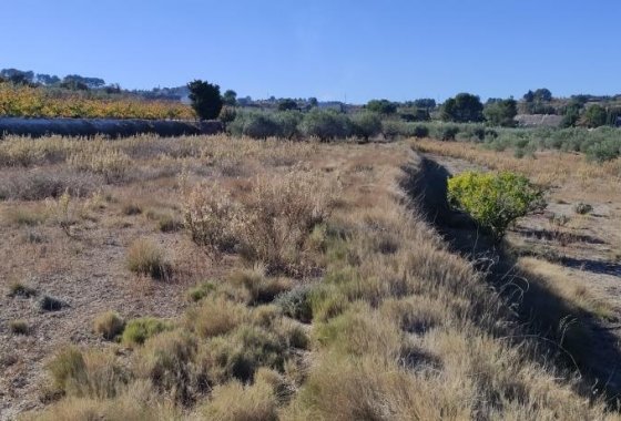 Wiederverkauf - Country House - Agullent