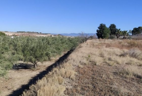 Wiederverkauf - Country House - Agullent