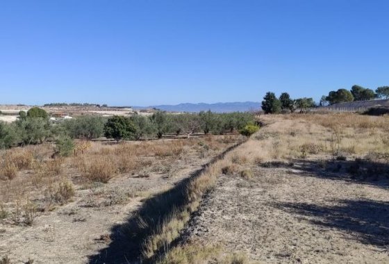 Wiederverkauf - Country House - Agullent