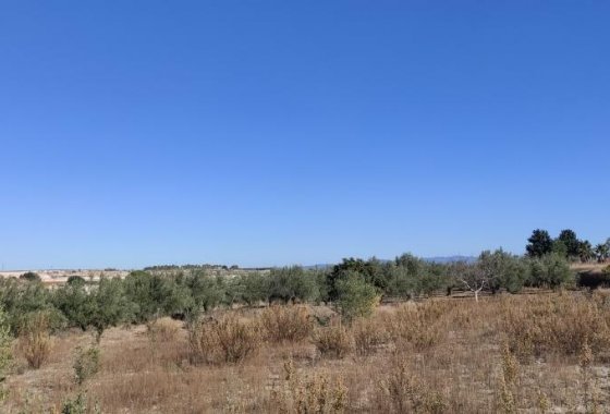 Wiederverkauf - Country House - Agullent