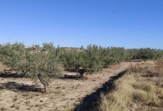 Wiederverkauf - Country House - Agullent