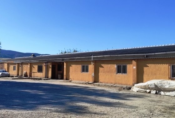 بازفروش - Others - Ontinyent