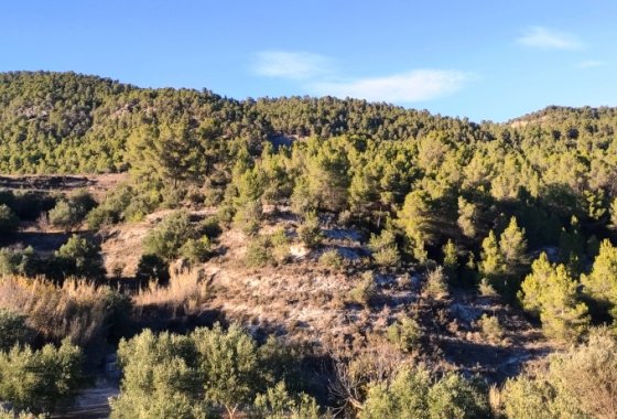 بازفروش - خانه روستایی - Alcoy