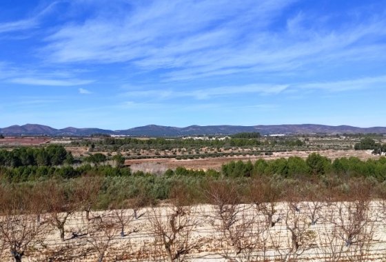 بازفروش - زمین - Bufali