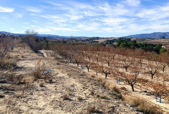 بازفروش - زمین - Bufali