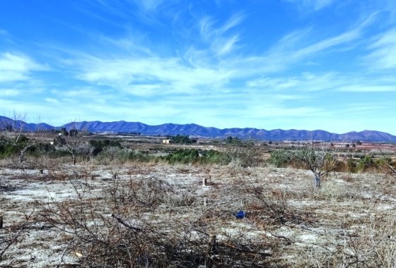 بازفروش - زمین - Bufali