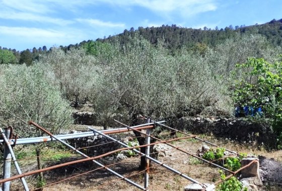 Resale - Country House - Villalonga