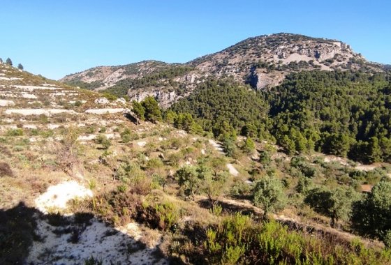 Reventa - Country House - Benasau