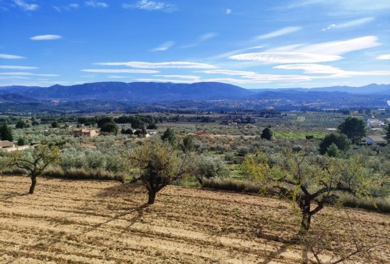 Resale - Country House - Gaianes