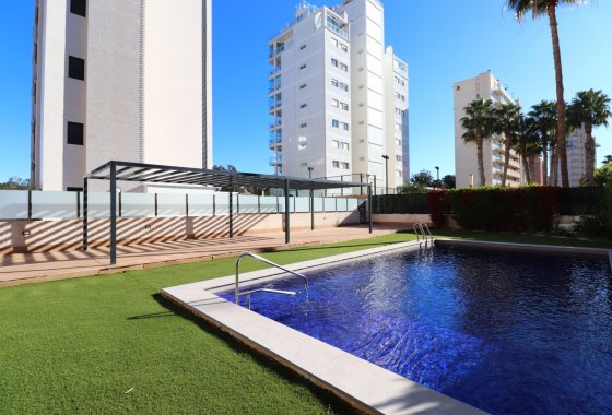 Resale - Apartment - Guardamar del Segura - Guardamar del Segura - Town