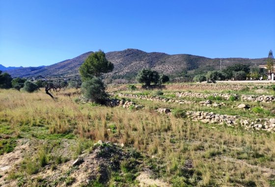 بازفروش - زمین - Benissa